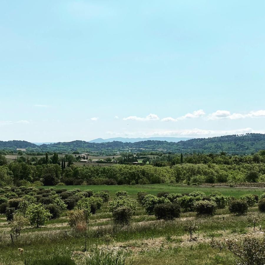 Le Mazet D'Emilia Avec Jardin Et Piscine Prives Βίλα Cucuron Εξωτερικό φωτογραφία